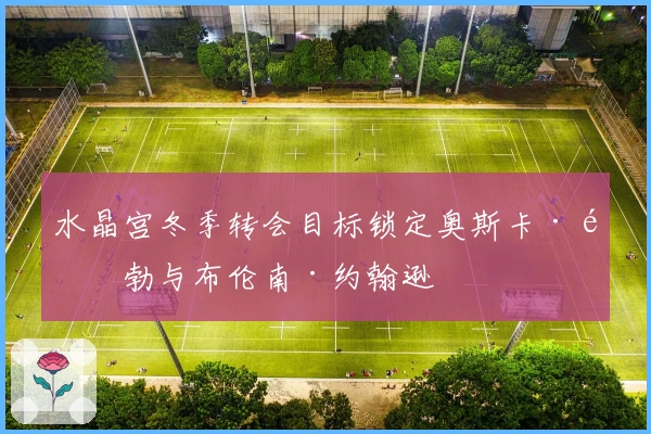 水晶宫冬季转会目标锁定奥斯卡·鲍勃与布伦南·约翰逊