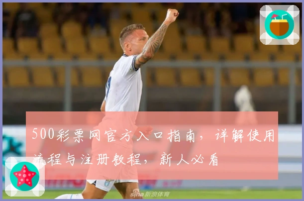 500彩票网官方入口指南,详解使用流程与注册教程,新人必看