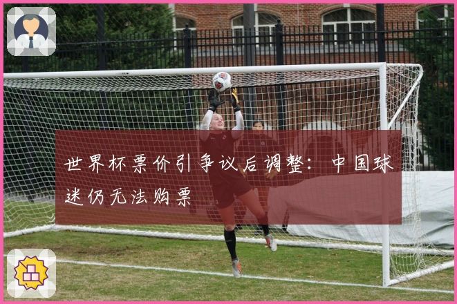 世界杯票价引争议后调整：中国球迷仍无法购票