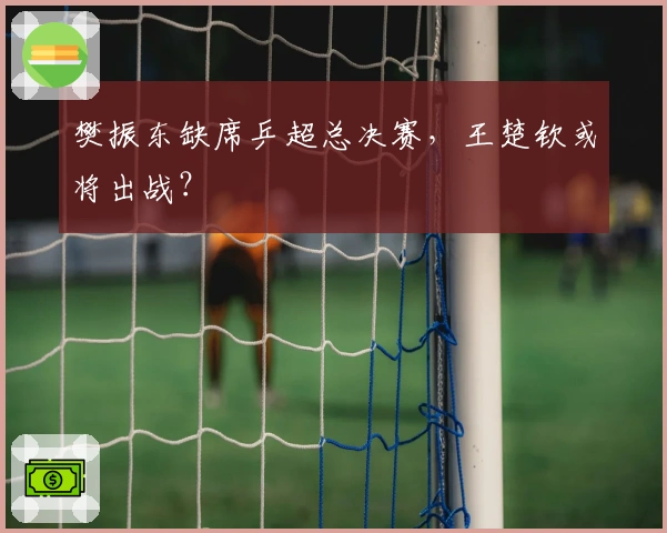 樊振东缺席乒超总决赛，王楚钦或将出战？